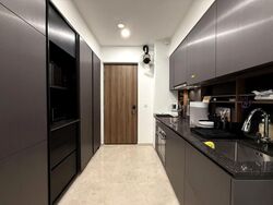 Daintree Residence (D21), Condominium #520255011